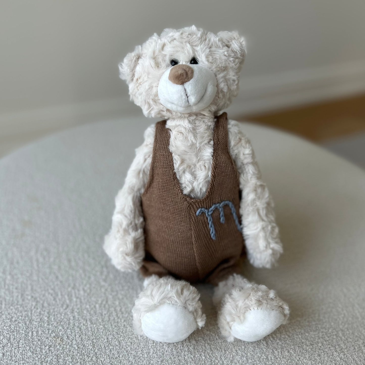 Custom Teddy Bear | Stuffed Animal Custom Gift