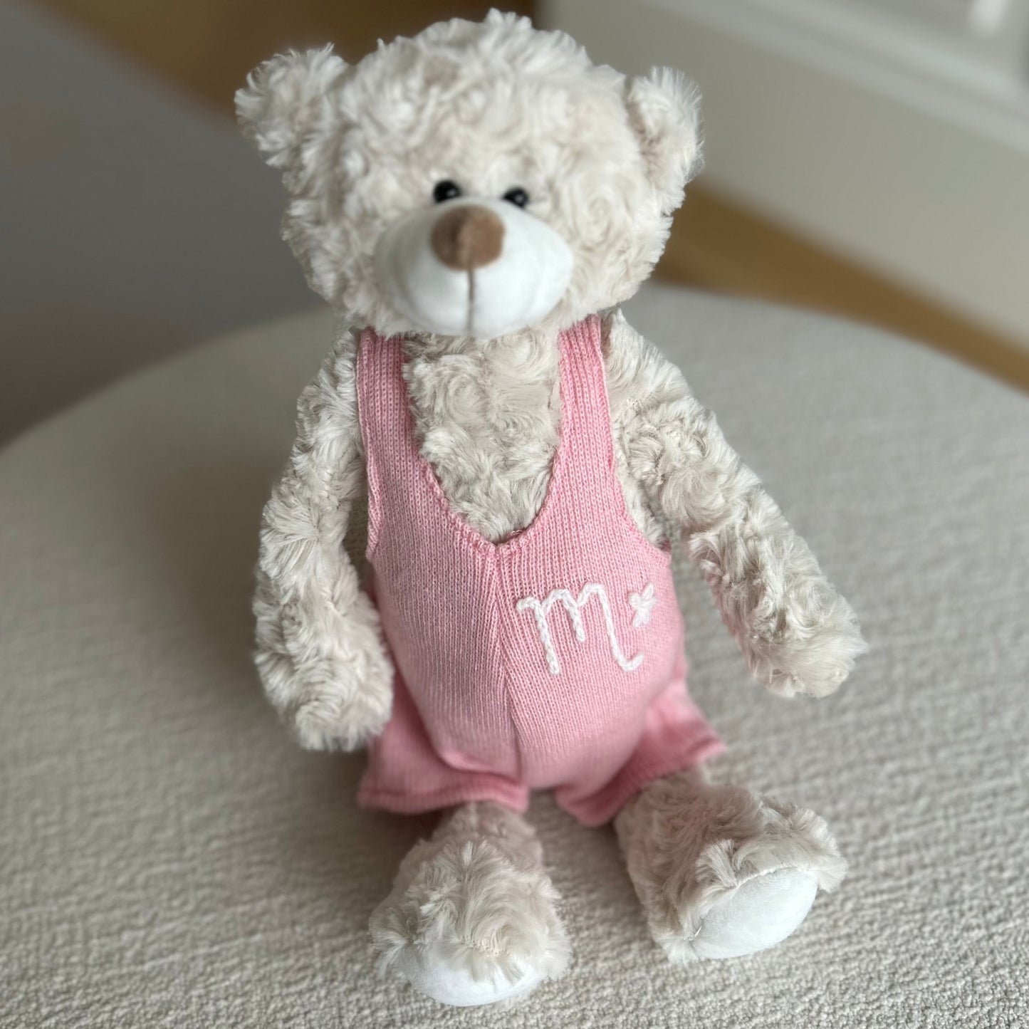 Custom Teddy Bear | Stuffed Animal Custom Gift