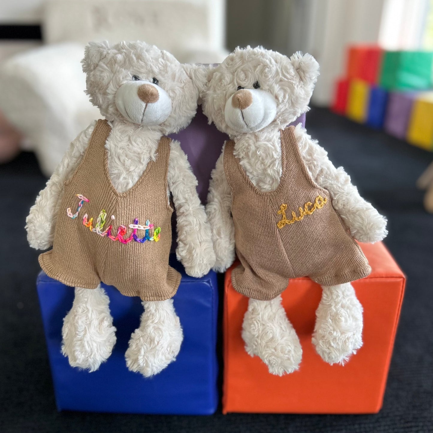 Custom Teddy Bear | Stuffed Animal Custom Gift