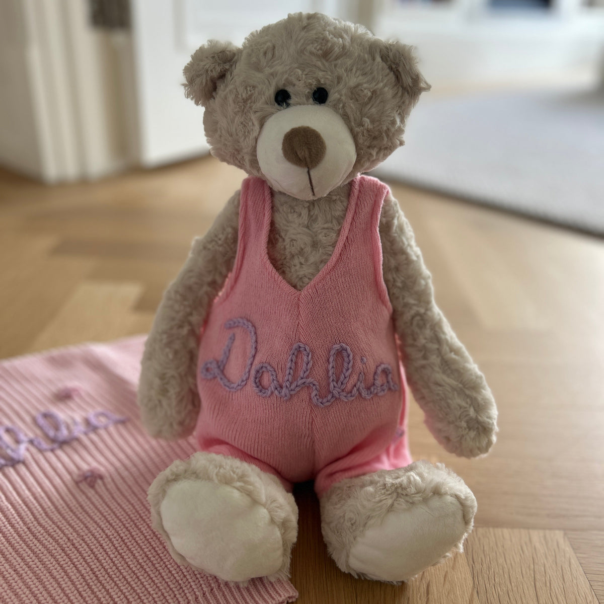 Custom Teddy Bear in Pink, Brown or Blue | Stuffed Animal Custom Gift
