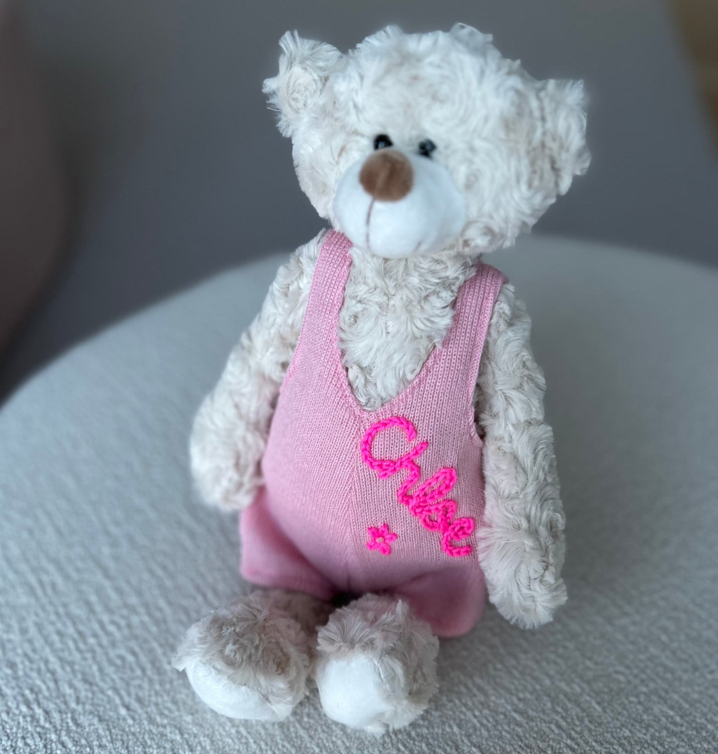 Custom Teddy Bear | Stuffed Animal Custom Gift
