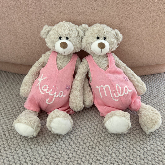 Custom Teddy Bear in Pink or Brown | Stuffed Animal Custom Gift