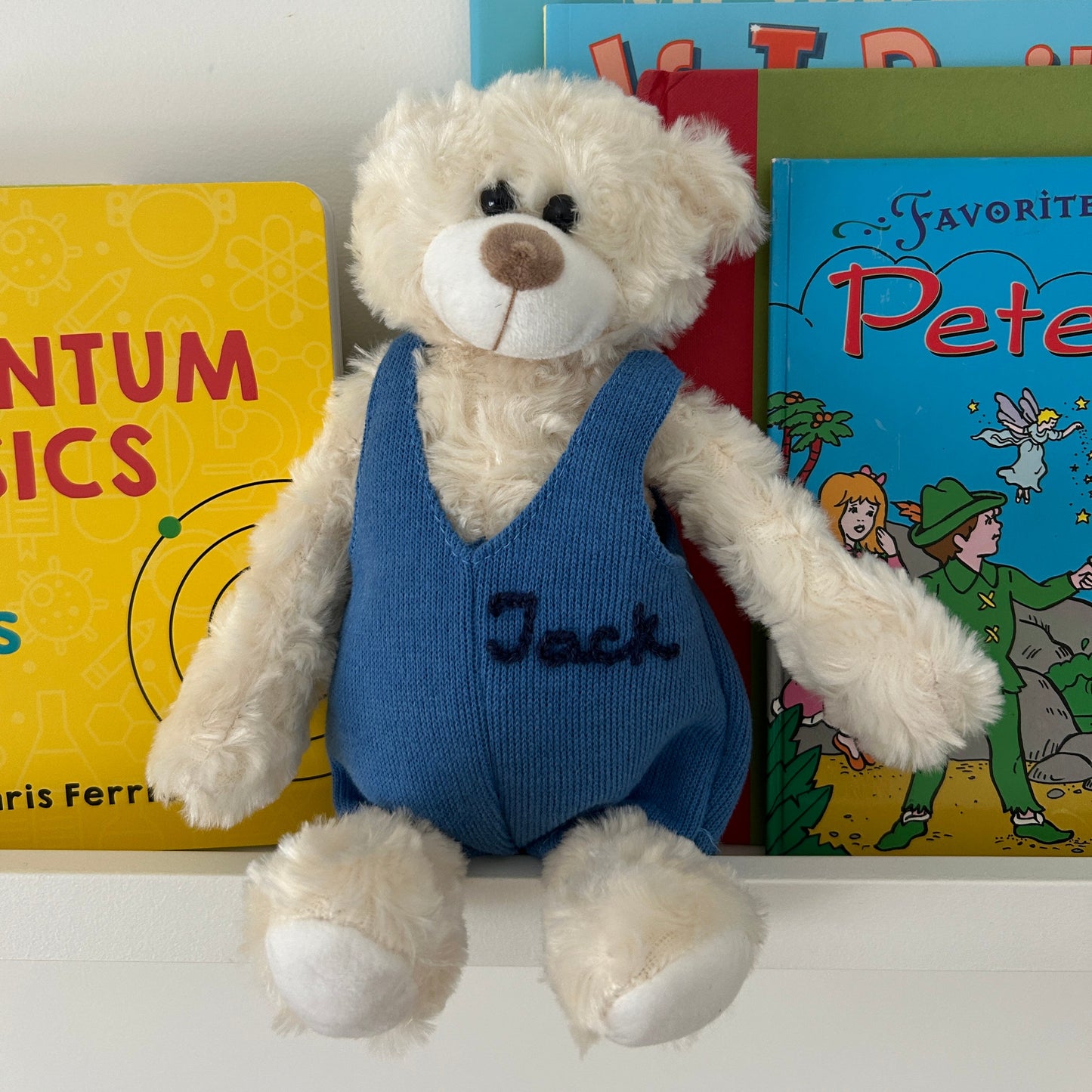 Custom Teddy Bear in Pink, Brown or Blue | Stuffed Animal Custom Gift