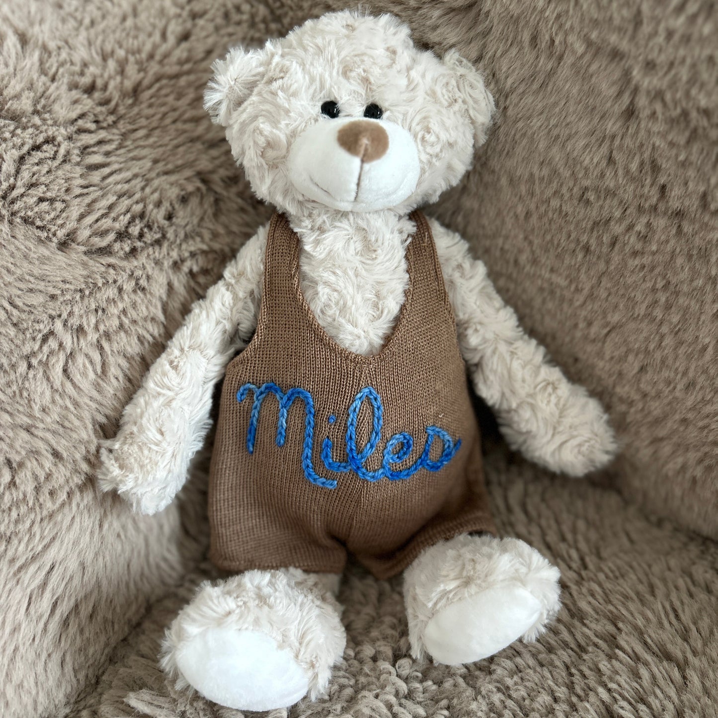 Custom Teddy Bear in Pink, Brown or Blue | Stuffed Animal Custom Gift